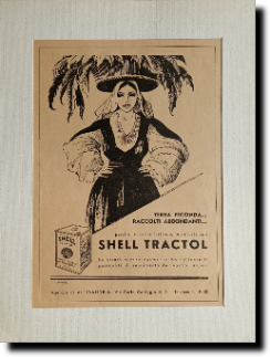 Shell Trsctol